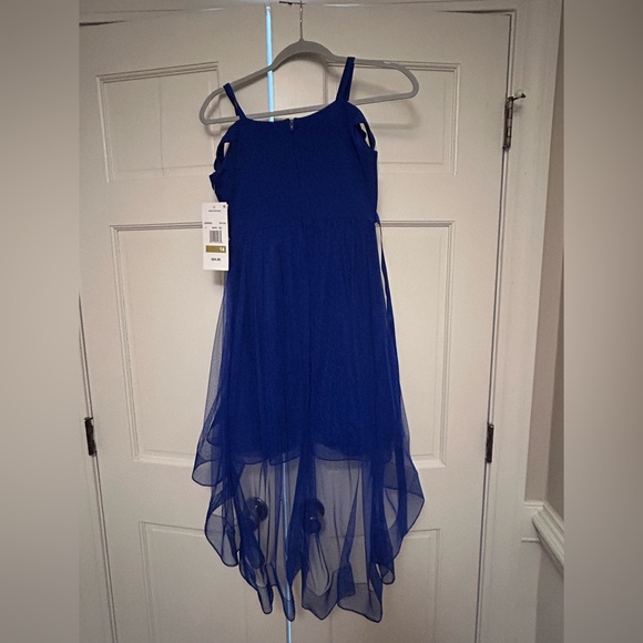 Rare Editions Royal Blue Formal Kids Dress size14 - Picture 3 of 7